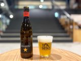 割れないビールグラス